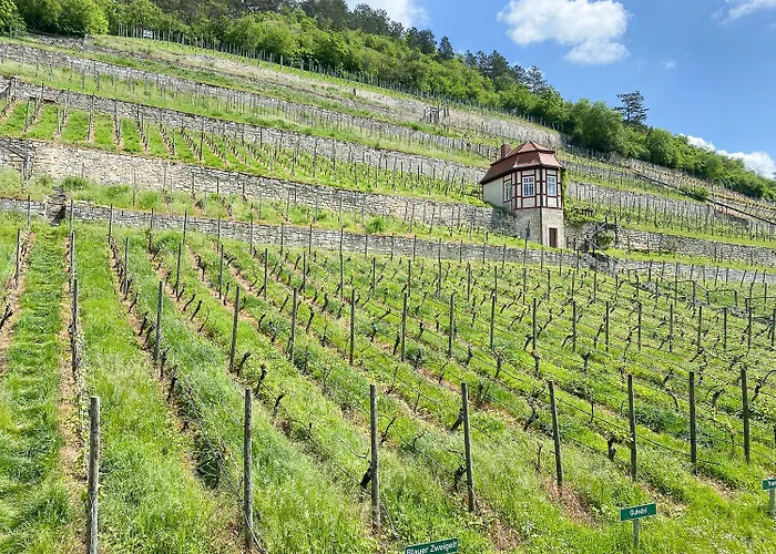 Weinquartier Weingarten Das Loft